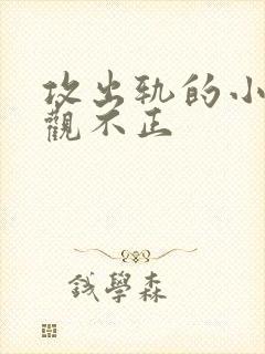 攻出轨的小说三观不正