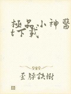 极品小神医txt下载封面