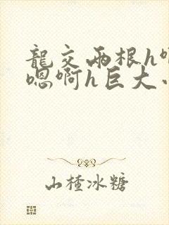 龙交两根h啊~嗯啊h巨大小说