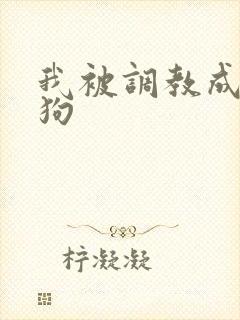 我被调教成小母狗封面