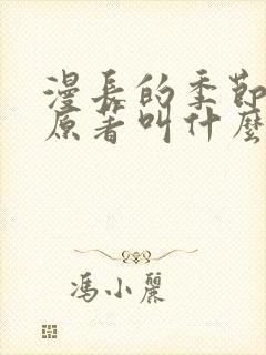 漫长的季节小说原著叫什么