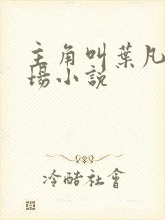 主角叫叶凡的官场小说