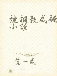 被调教成骚母狗小说封面