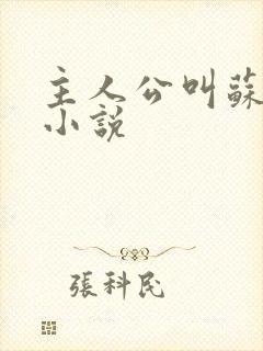 主人公叫苏晚的小说