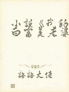 小说《我的总裁白富美老婆》封面