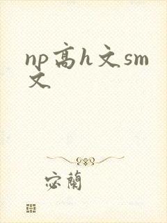 np高h文sm文封面
