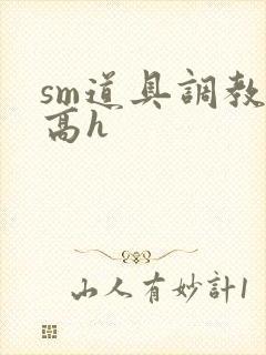 sm道具调教文高h