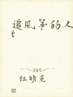 追风筝的人txt