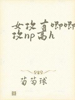 女攻有唧唧的女攻np高h