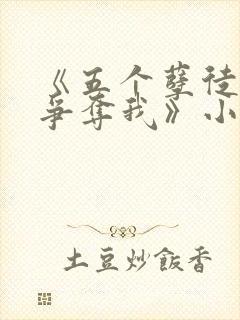 《五个孽徒都想争夺我》小说