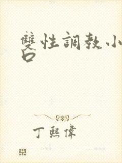 双性调教小说重口封面