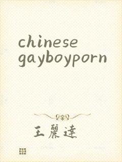 chinesegayboyporn