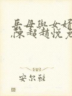 岳母与女婿小说,陈超赵悦免费阅读封面