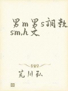 男m男s调教(sm,h文封面