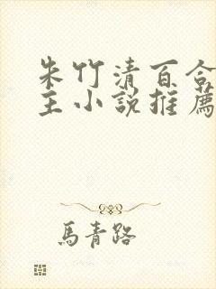 朱竹清百合双女主小说推荐