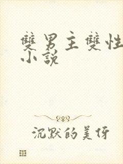 双男主双性po小说