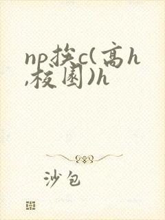 np挨c(高h,校园)h