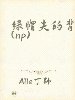 绿帽夫的背德妻(np)