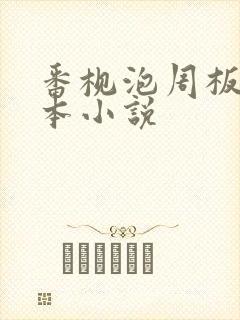 番枧泡周板娘全本小说封面