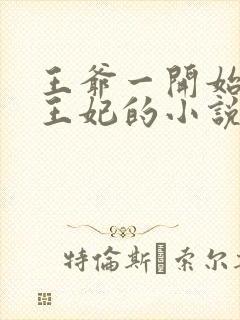 王爷一开始讨厌王妃的小说