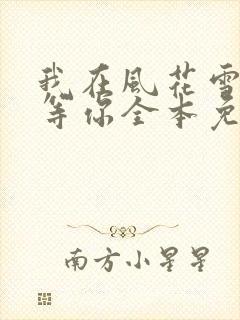 我在风花雪月里等你全本免费阅读