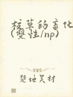 校草的畜化调教(双性/np)