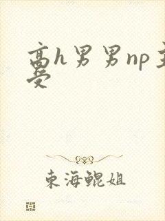 高h男男np主受