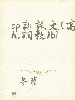 sp训诫文(高h,调教)bl