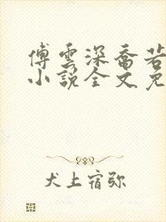 傅云深乔若桑的小说全文免费阅读