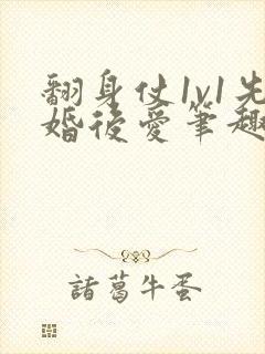 翻身仗1v1先婚后爱笔趣阁封面