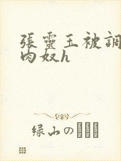张灵玉被调教成肉奴h