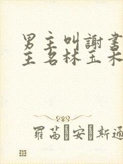 男主叫谢书淮女主名林玉禾的小说