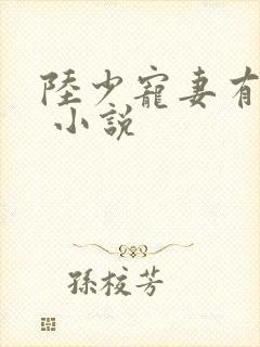 陆少宠妻有点甜 小说