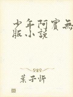 少年阿宾无删减版小说