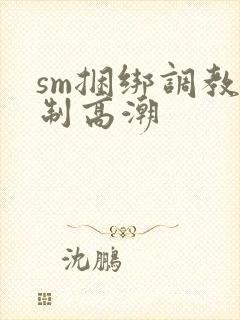 sm捆绑调教强制高潮