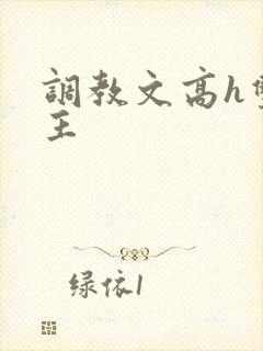 调教文高h双男主