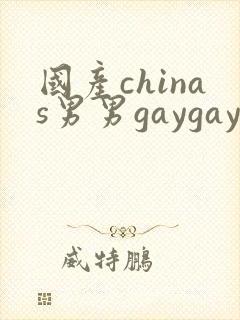 国产chinas男男gaygay