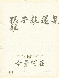 孙子亲还是女儿亲封面