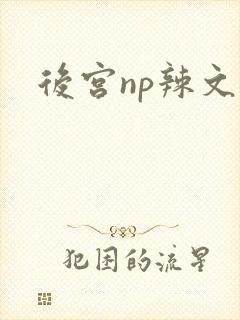 后宫np辣文