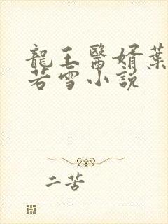 龙王医婿叶凡唐若雪小说