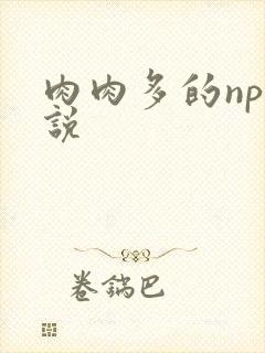 肉肉多的np小说