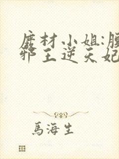 废材小姐:腹黑邪王逆天妃 叶轻轻