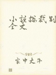 小说总裁别太坏全文
