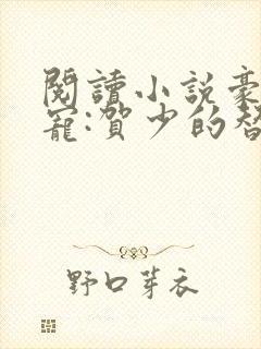 阅读小说豪门甜宠:贺少的替嫁新娘封面