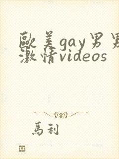 欧美gay男男激情videos