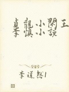 贞观小闲王纪王李慎小说封面