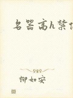 名器高h禁伦