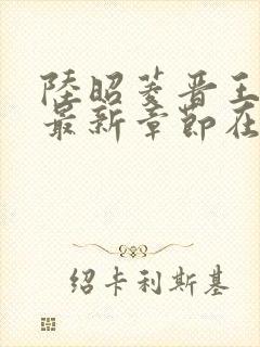 陆昭菱晋王小说最新章节在线阅读