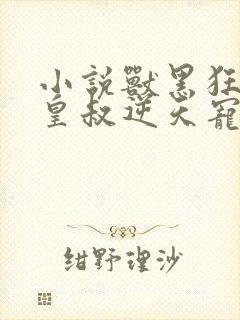 小说兽黑狂妃:皇叔逆天宠封面