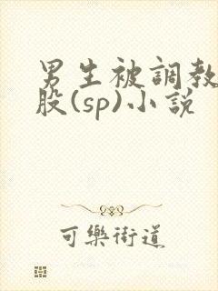 男生被调教打屁股(sp)小说